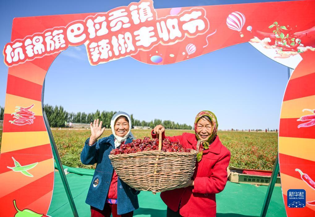 必发365乐趣网投坑人